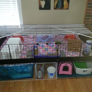 Expanded Cage