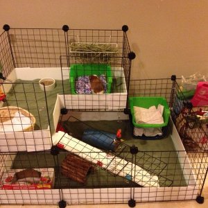 Double level guinea pig hot sale cage