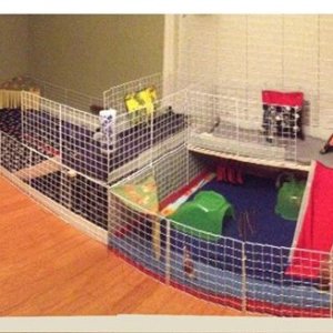 My boys open cage with upper level & ramps