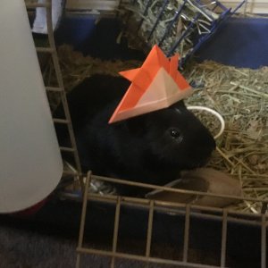 Max with a Hat