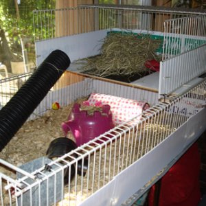 100% Recycled Cage
