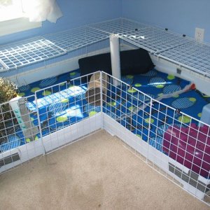 Lilo and Stitch's cage