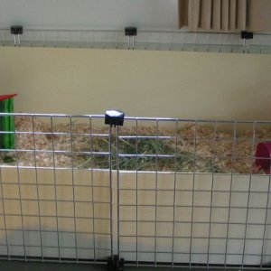 Marcel's 2x4 C&C cage