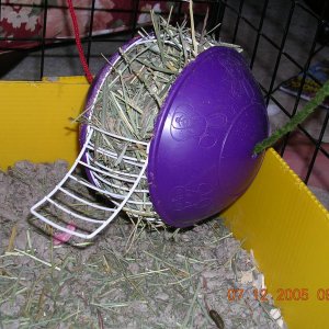 Rollin' The Hay