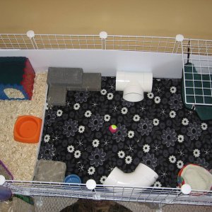 Top down of 2x4 aspen and fleece cage