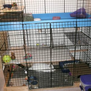 Open, Multi-Level cage