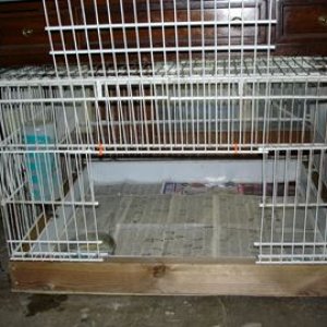 Easy and sturdy cage/