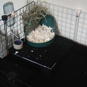 The hayrack with litterbox