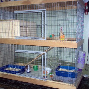 My buns cage