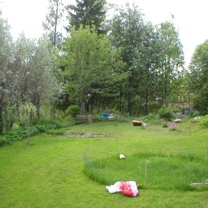 garden 2005
