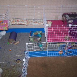 Cage with new seond level