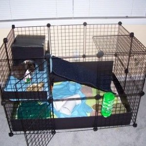 My New Cage