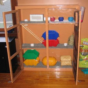 Bookshelf hamster shop cage