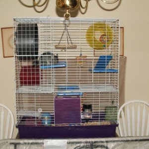 Buddy's cage addition