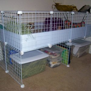 Swirl & Ginger's New & Improved Cage 2