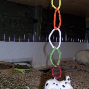 Pipe cleaner springy toy