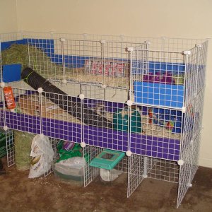 The girls cage.