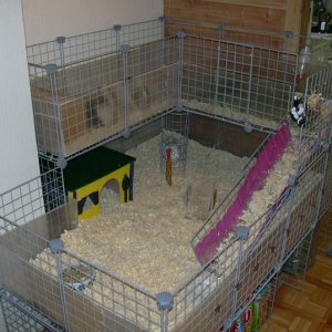 Side view of the piggie cage.