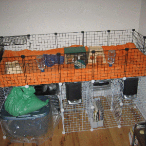 Open 2x5 CC Cage in use - Top Angle View