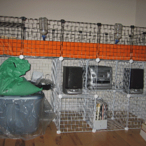 2x5 CC Cage in use - Front View