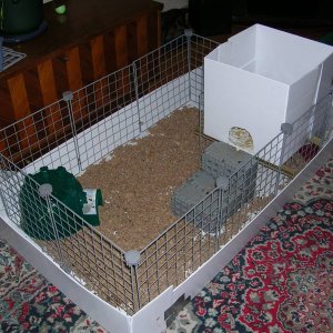 My indoor cage