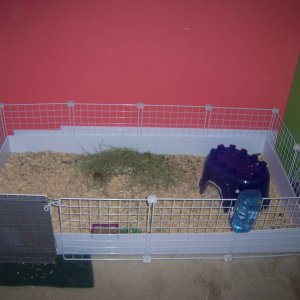 Girls Cage with Pen closed