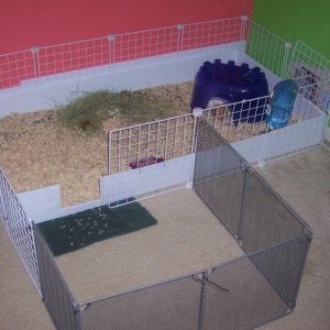 Girls Cage with Pen opened
