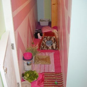 BunBun's room.