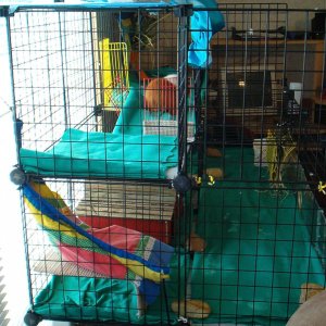 Brownie's Cage