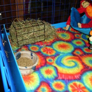 Small 2x3 grid cage showing hay rack #2 of 4
