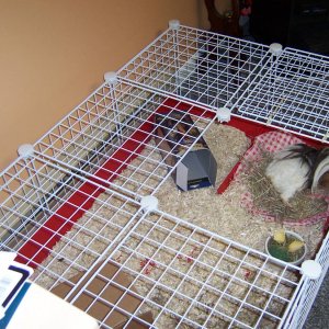 His cage
