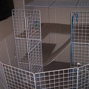 marshellow and pumpernickel's cage with play pen