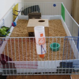 Alternative construction cages