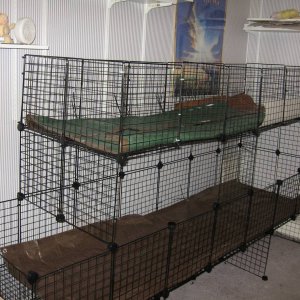 New stacked cage for both herds