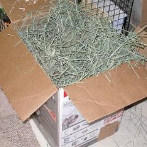 Storing hay