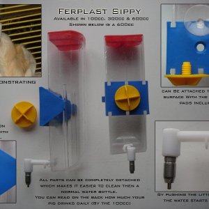 Ferplast Sippy Water Bottle.