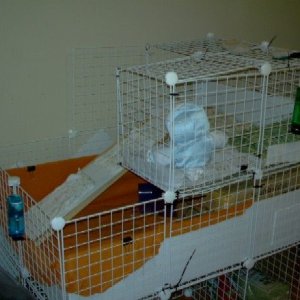 Side view of cage