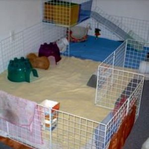 Cage with second level