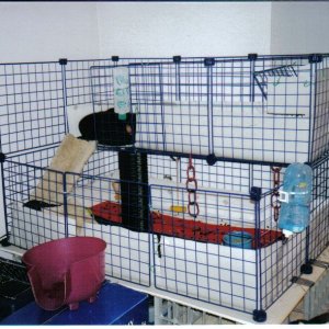 Another view of Tulip and Lily's cage