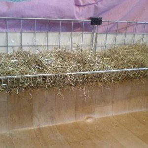 Hay rack over 2 cubes long