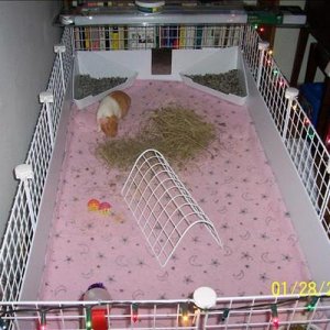 Juliette's cage