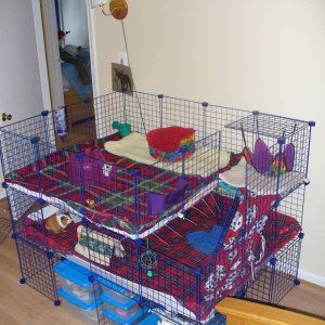 More spacious cage