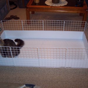 New bare cage