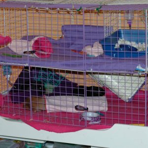 Multi-level 2x3 cage
