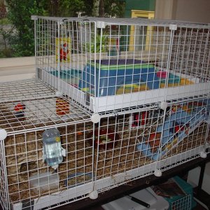 Two-level cage, 4x2 on bottom, with mezzanine at far end