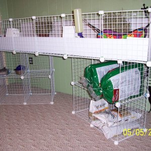 Our cage w/ double  stands
