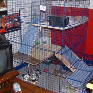 Bunny cage is finished