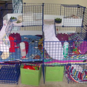 Newer cage