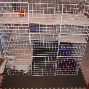 Four story cage Part 2