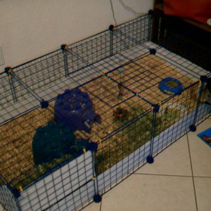 Oreo and Keebler's 2x4 C&C cage